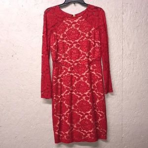 Rebecca B Floral Lace Long Sleeve Dress NWT 12